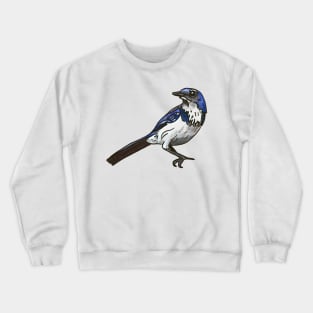 California Scrub Jay Crewneck Sweatshirt